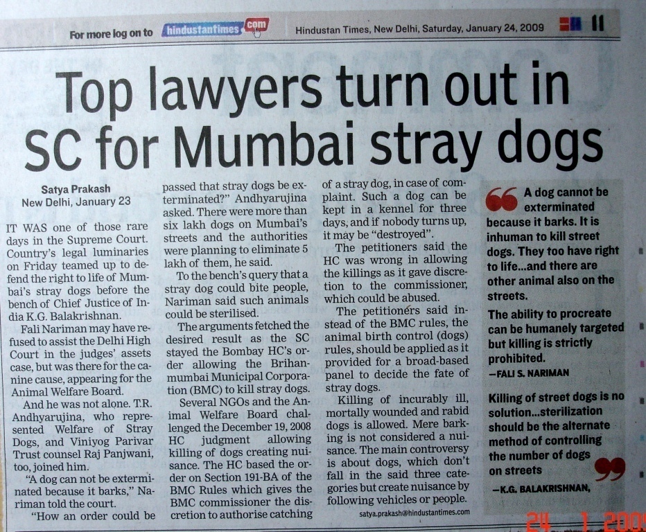 Stray Dogs Mumbai