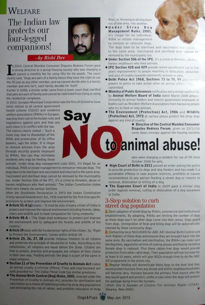The Indian Law protects our four-legged companion_Article Scan