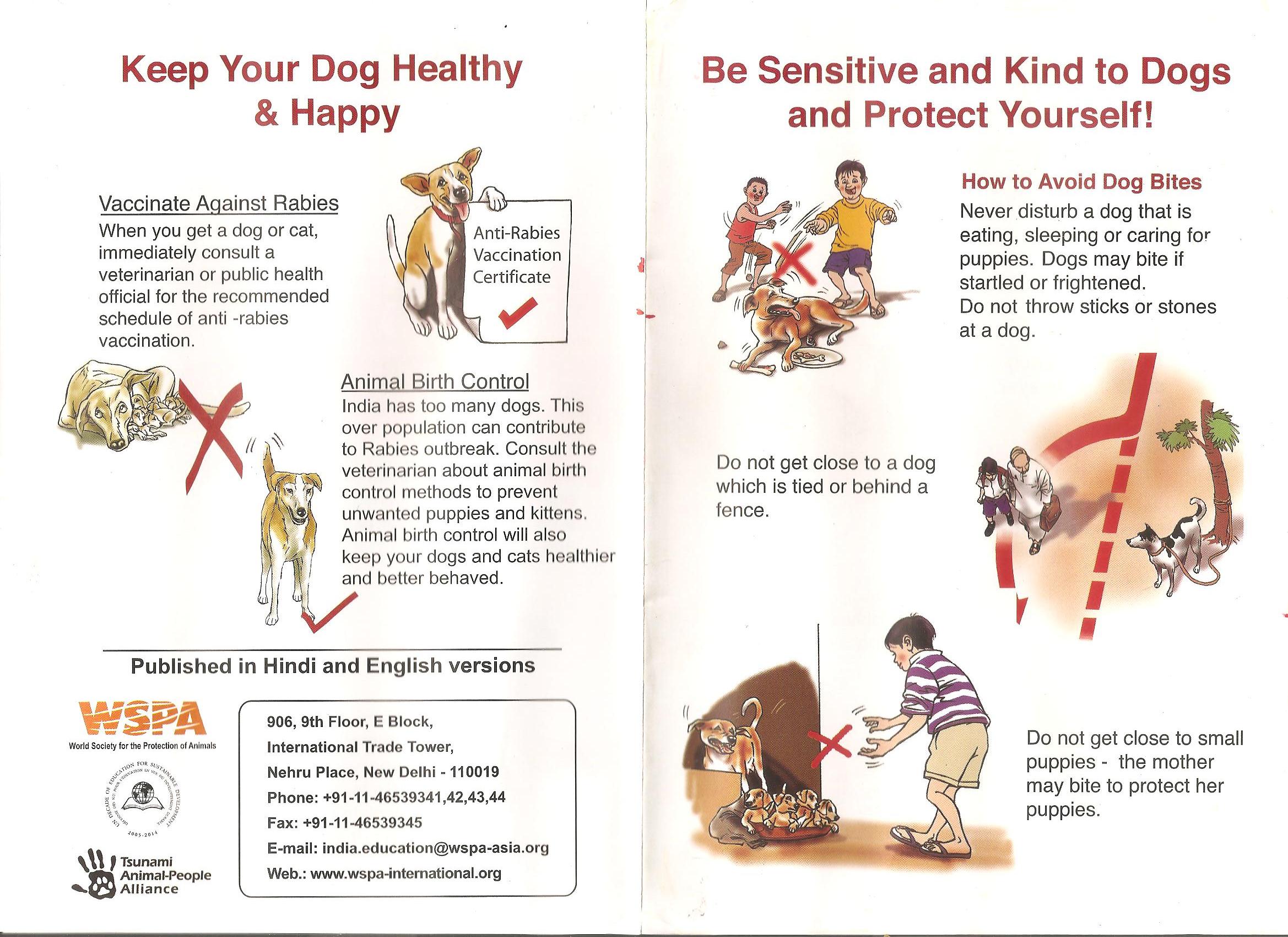 How to behave with a street dog_courtesy WSPA India (2)