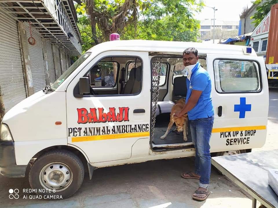 Important Notice from Animal Ambulance Community of Mumbai Region –  JAAGRUTI® –